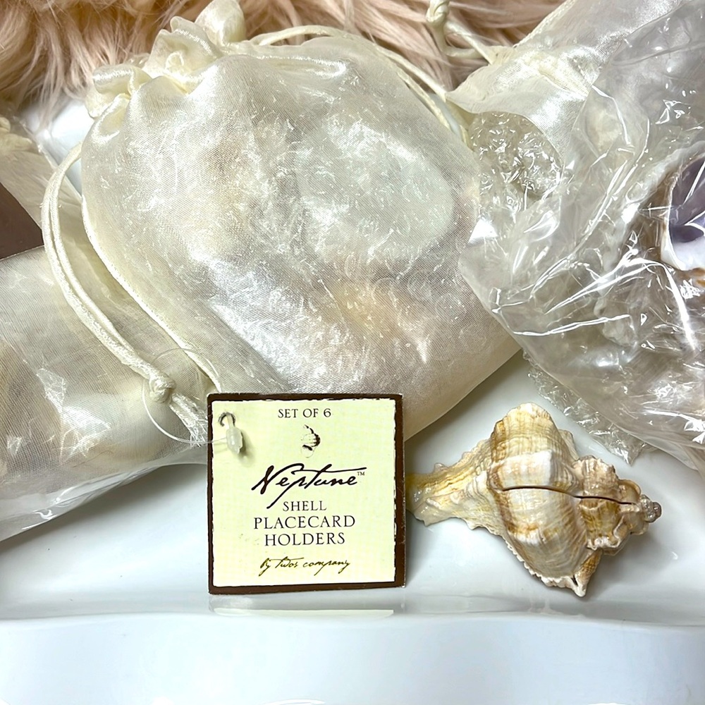 SEASHELL PLACECARD HOLDERS